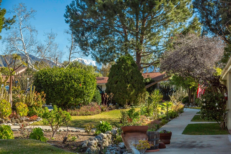 Walking paths through gardens